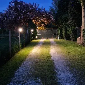La Casina Appartamento Ferrara